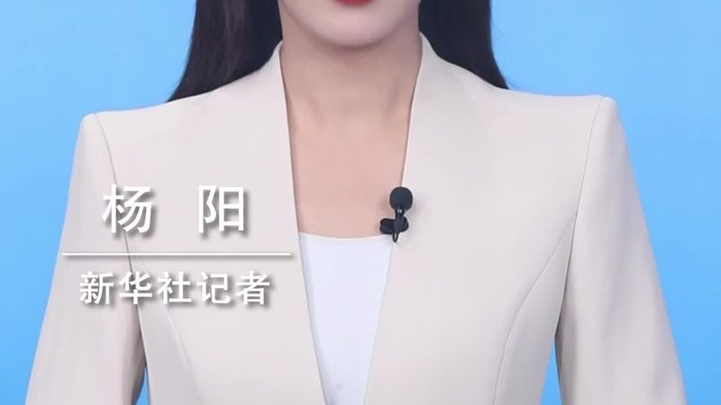 数据服务安装公司：揭秘企业数据中心的秘密武器